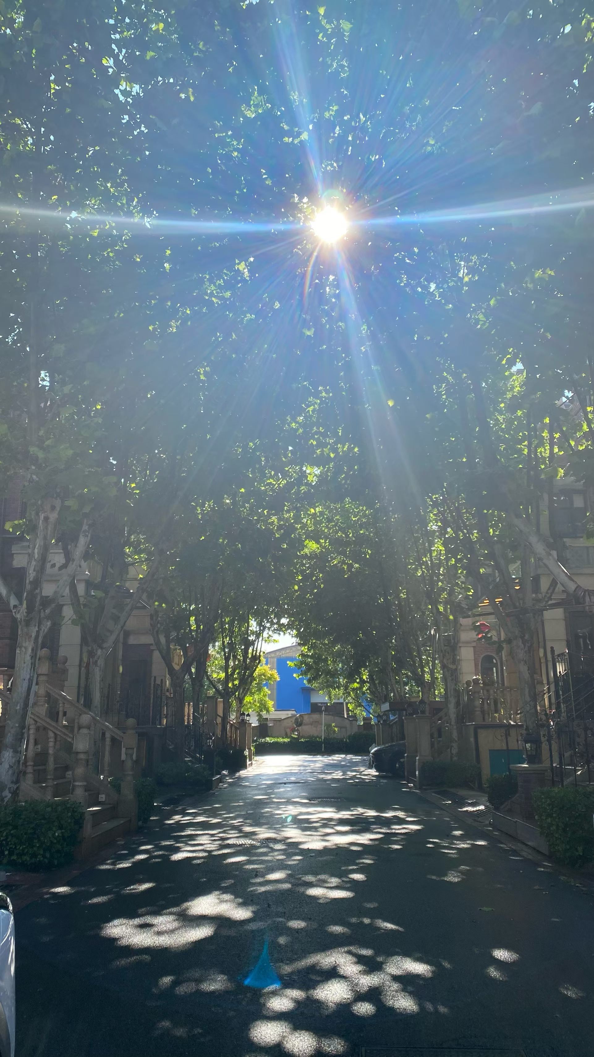 ☀