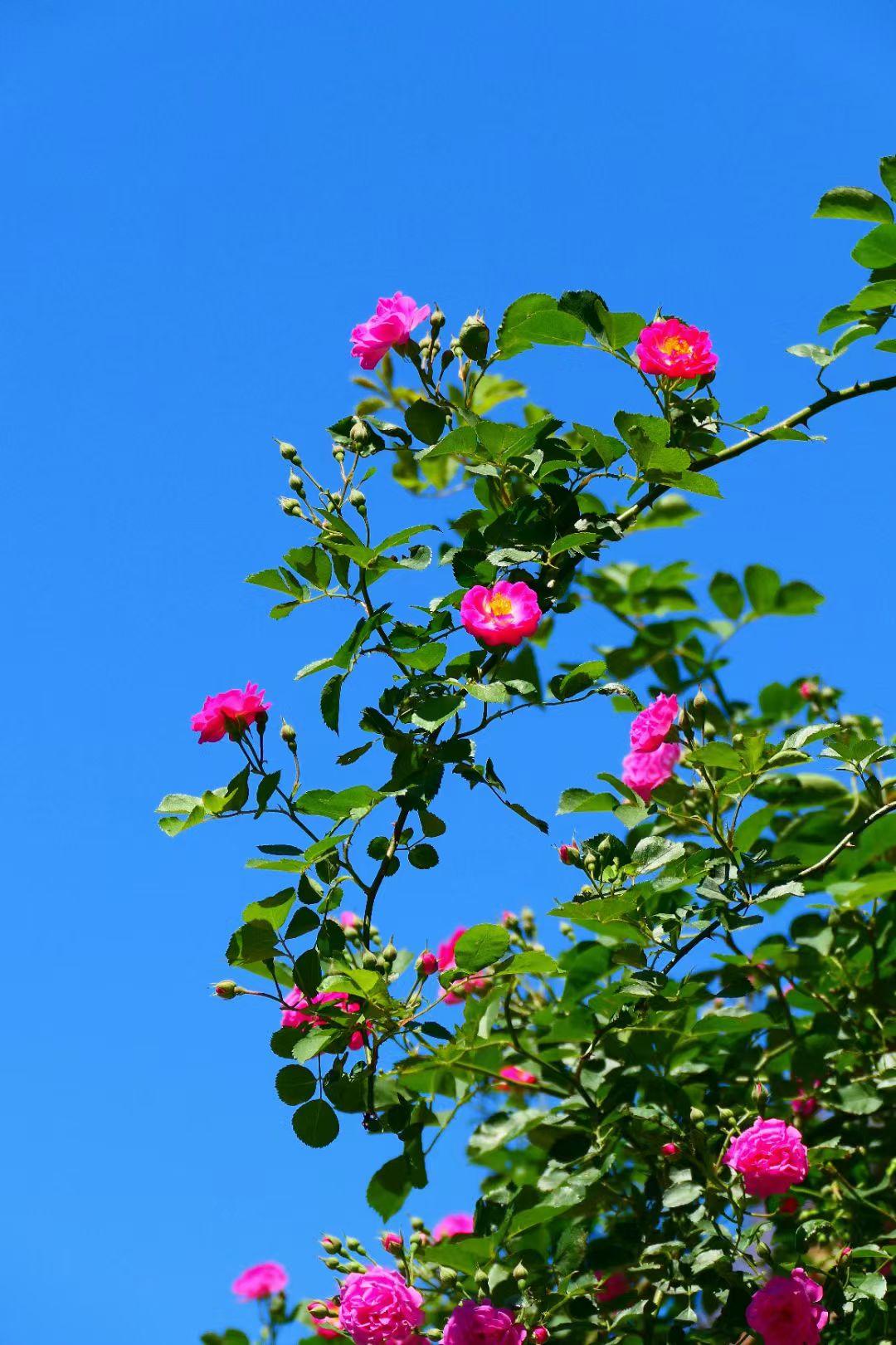 有没有这样的感觉或这样的时候，
当你心情不好时，
当你被诸多烦事扰心时，
特别是
