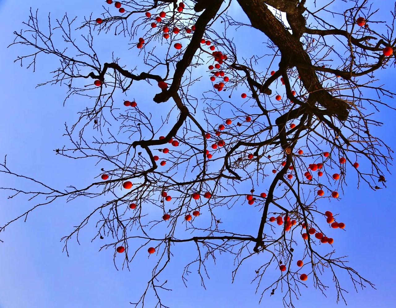 #上联：酒，喝酒，喝喜酒，求下联#
秋，深秋，深爱秋