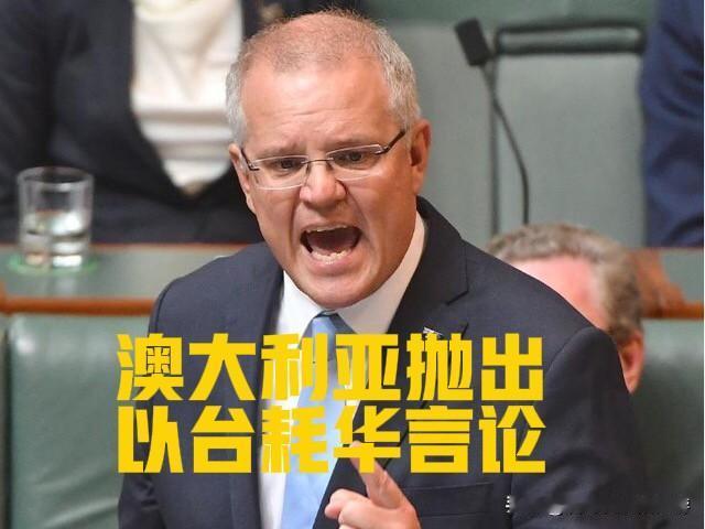 把台湾当“海绵”？澳智库的险恶算计，挡不住祖国统一大势

澳大利亚战略政策研究所