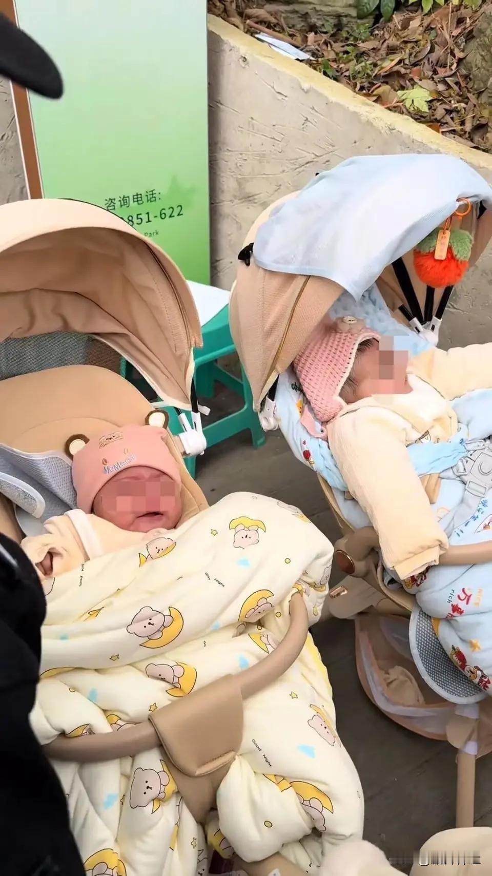 12月22日下午，一对外国夫妻在贵阳黔灵山公园游玩时，将一对双胞胎婴儿托付给公园