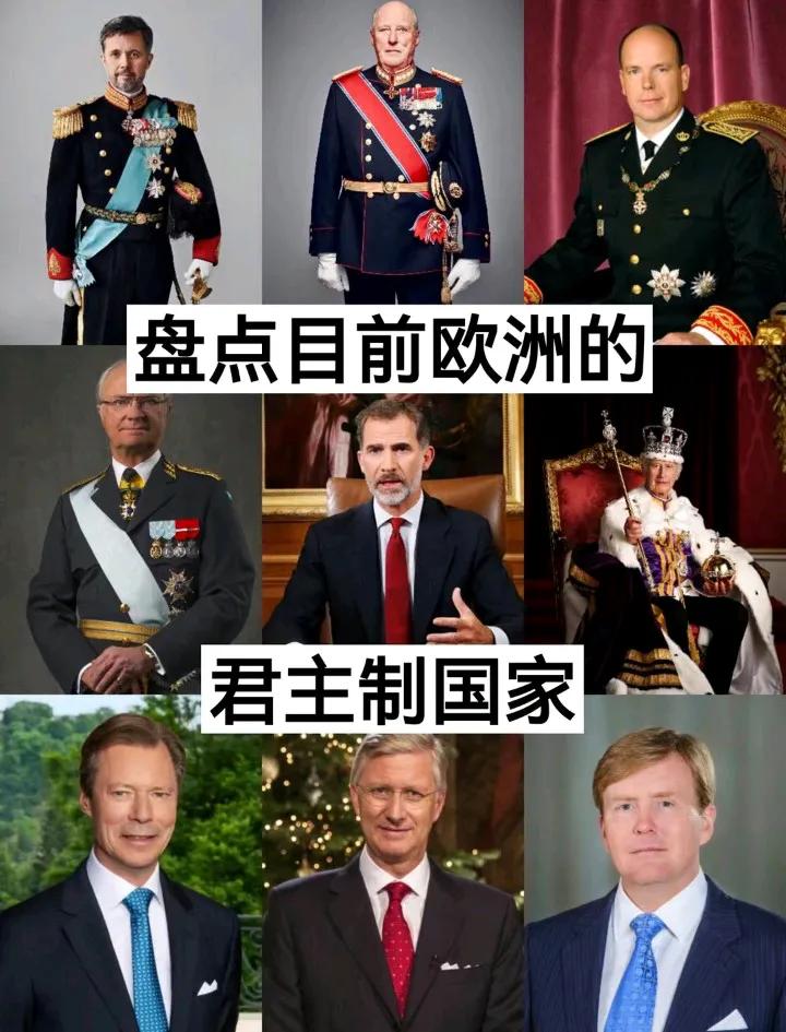 盘点目前欧洲的君主制国家

1.  瑞典王国
现任国王：卡尔十六世

2.  挪