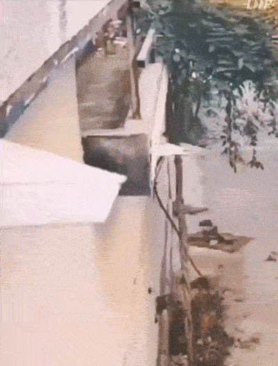 一场吃瓜引发的血案
没想到瓜竟然是我自己