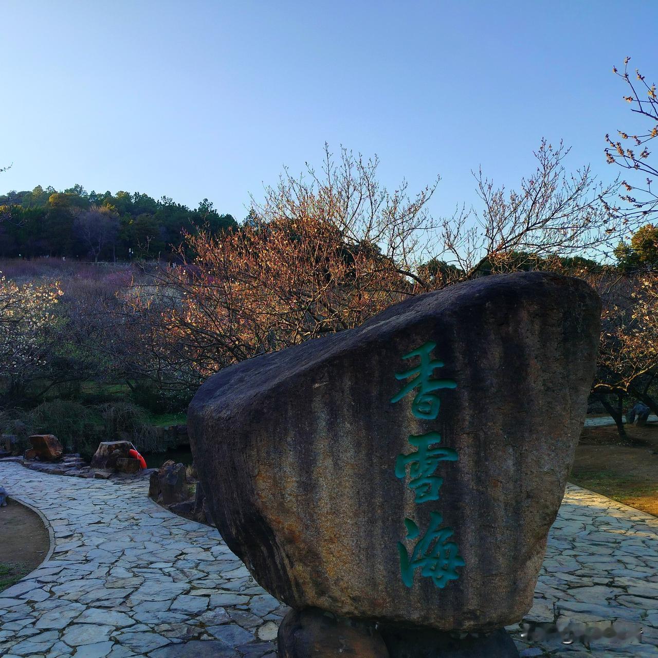 苏州📍香雪海｜刻在石头上的浪漫梅海
 
终于打卡了苏州香雪海的标志性巨石✨
就