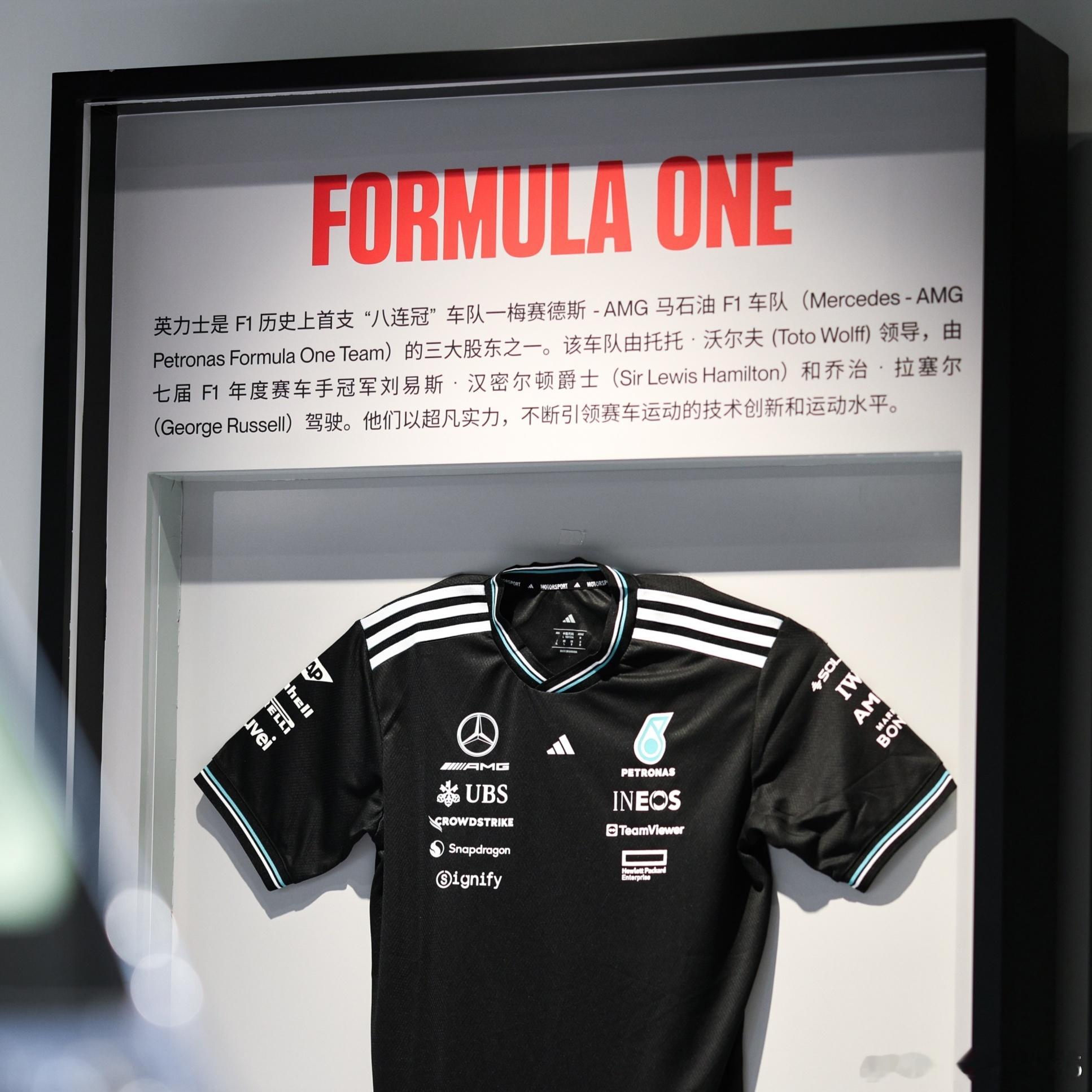 有没有F1梅奔粉？INEOS这几个字母一出，梅奔粉肯定熟。英力士掷弹兵上海再开一