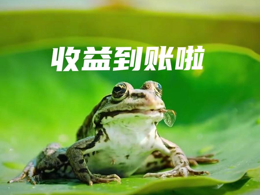 清晨八早的，打开头条看到了领航新锐收益节节高活动的额外收益100元，这不就是传说