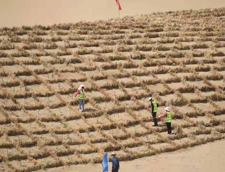 辛辛苦苦把流动沙地锁住，反倒招来西方媒体的各种质疑，这件事细想真的很耐人寻味。我