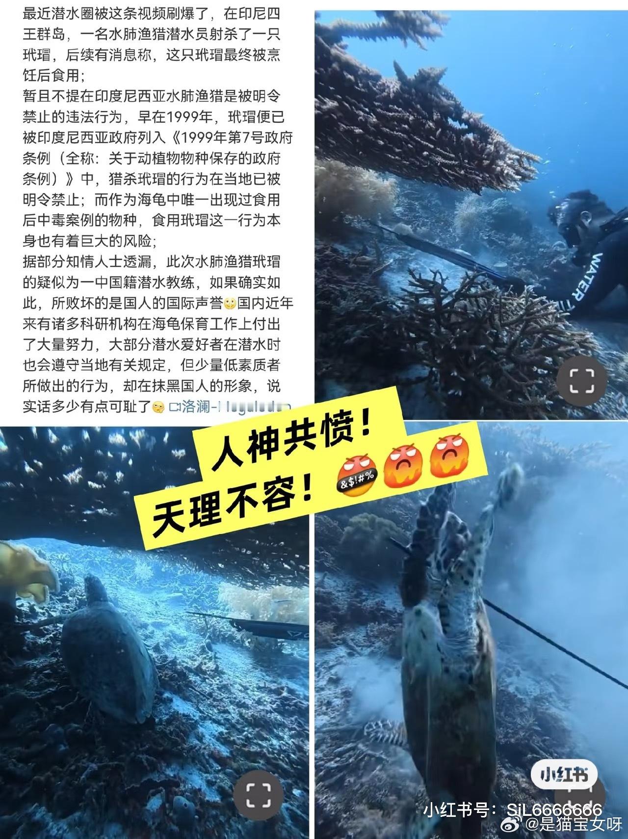 不是所有人都叫人，恶魔不得善终  ​​​