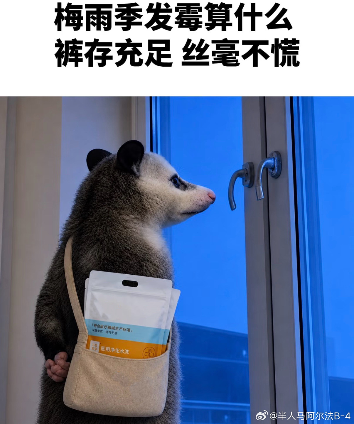 安徽，你再这么阴天下雨持续下去，我真的没有内裤陪你闹了，我决定买一次性内裤了，日