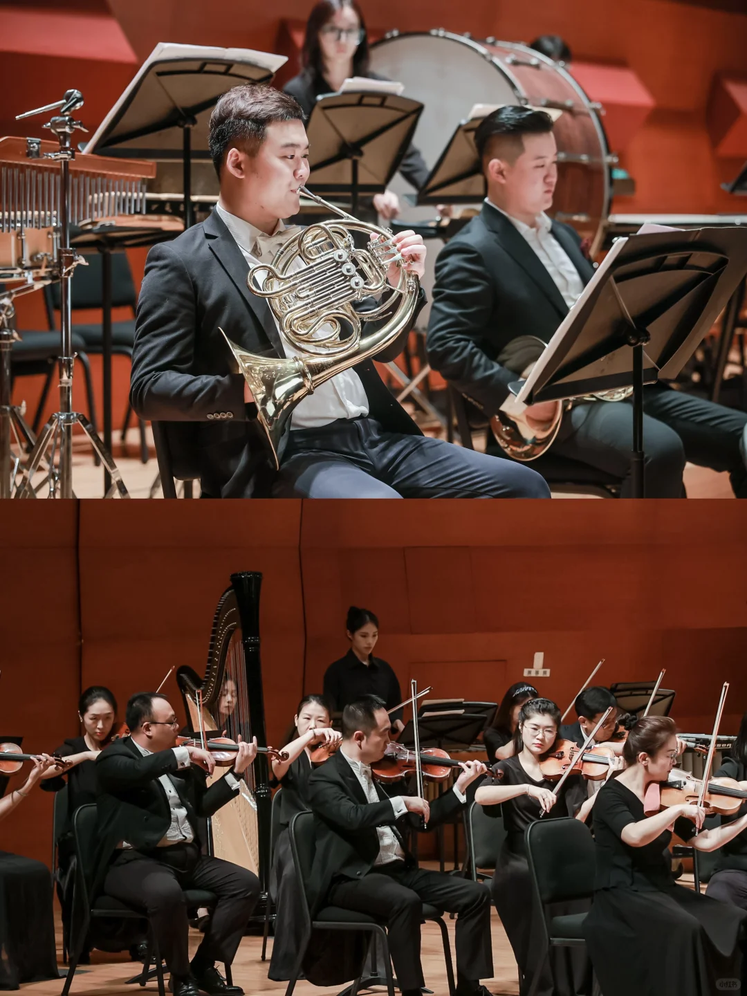 厦门爱乐乐团演奏蒲公英音乐会🆓免费送