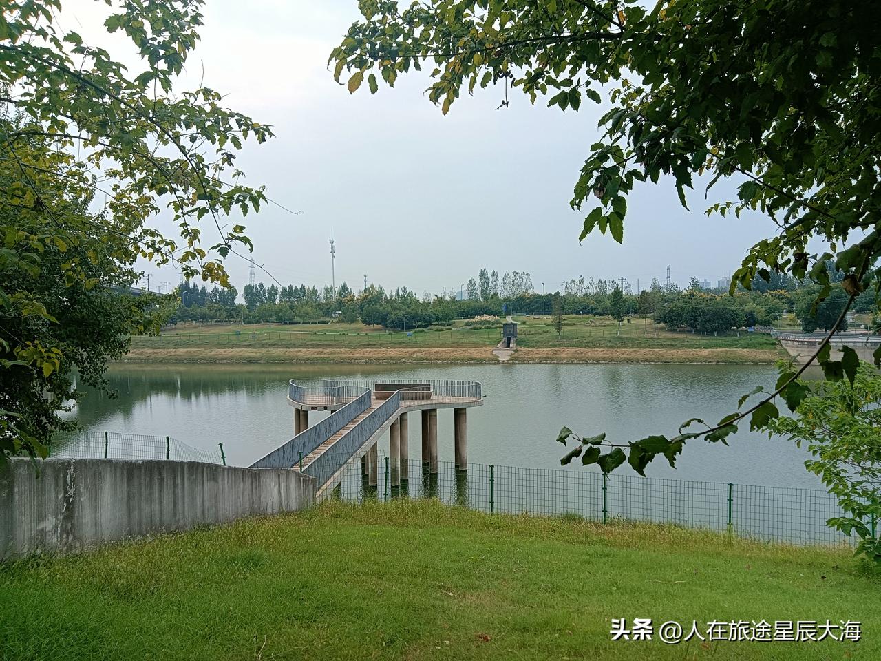 今天是白露节气，说来也巧我去咸阳送入学的孩子上学。回来的时候坐801路公交车到上