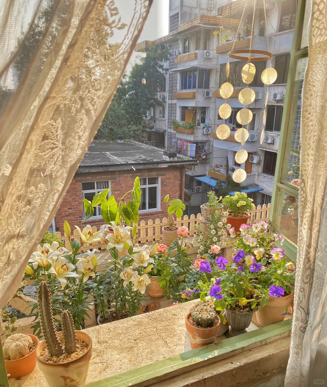 居住趋势｜给自己造个窗景吧！