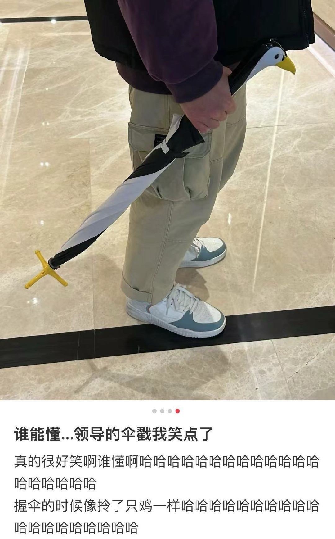 被领导的伞戳中笑点了[允悲]#v笑年度大赏# ​​​