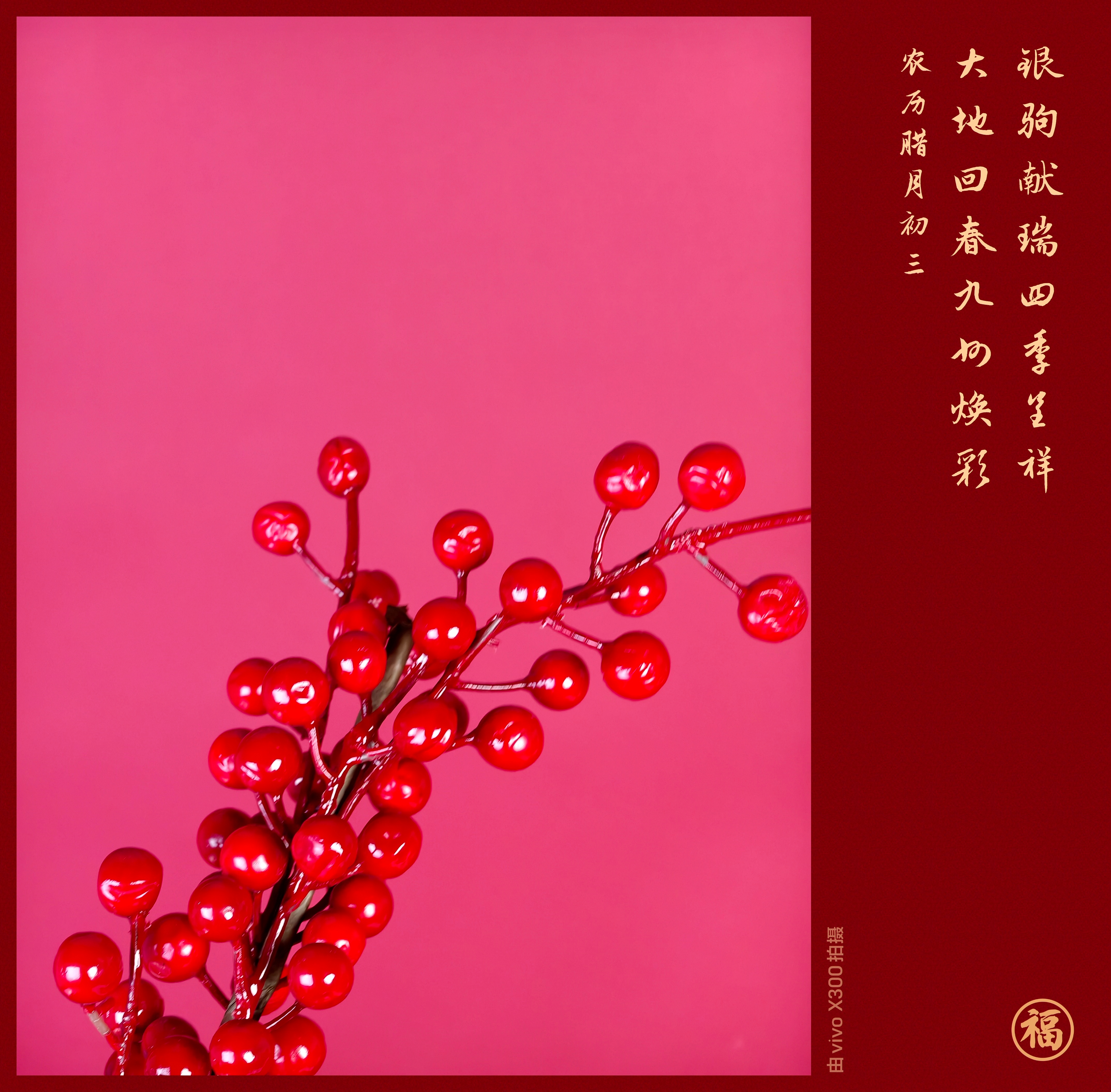 大家帮我看看我的X300新春限定水印动了吗刚好vivo年货节 ，快get同款