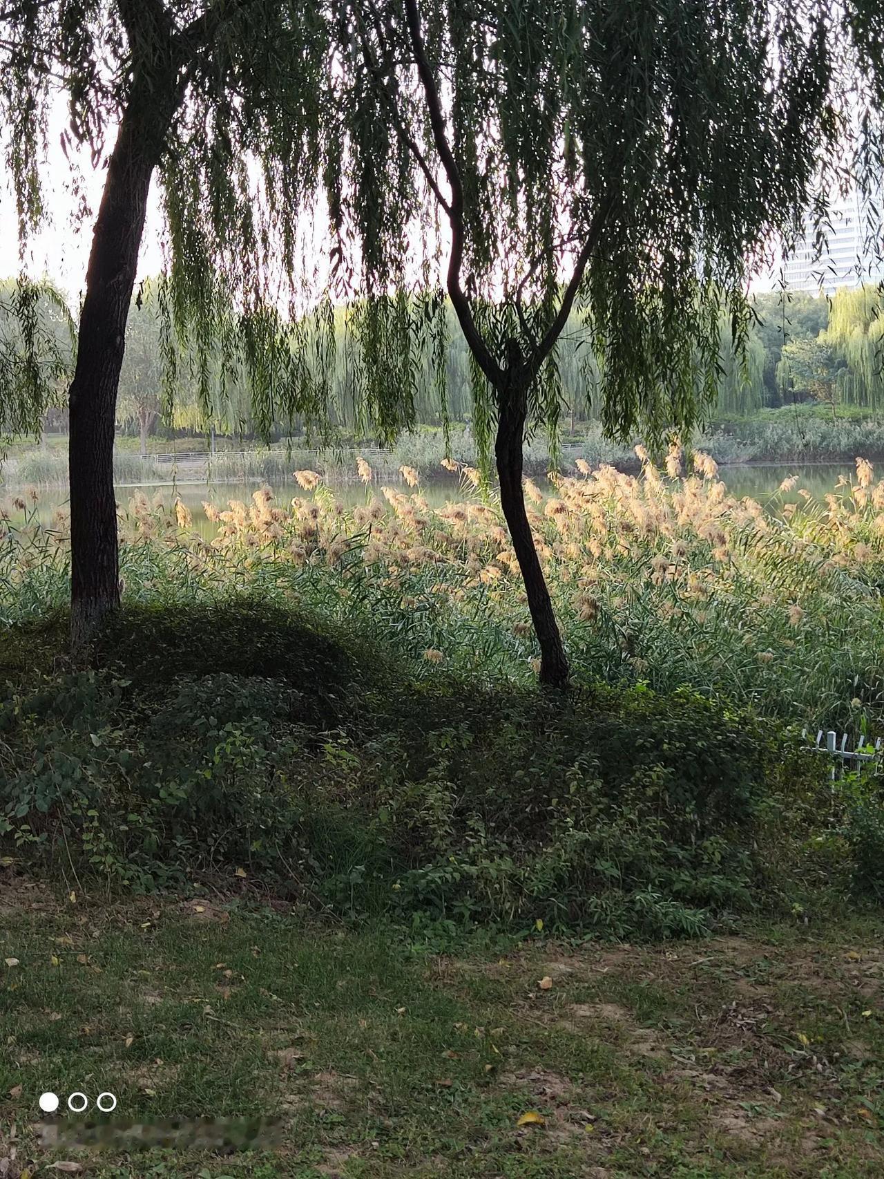 
秋天的第一杯奶茶
要坐在这里品尝！
秋天的空气
要站在这里呼吸！
秋天的歌声