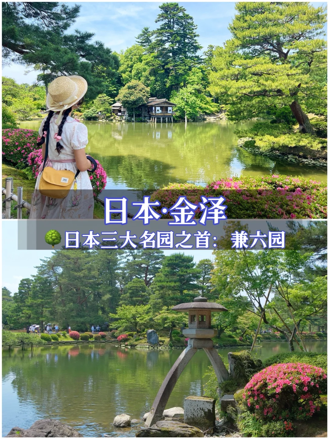 🌳日本三大名园之首：金泽兼六园