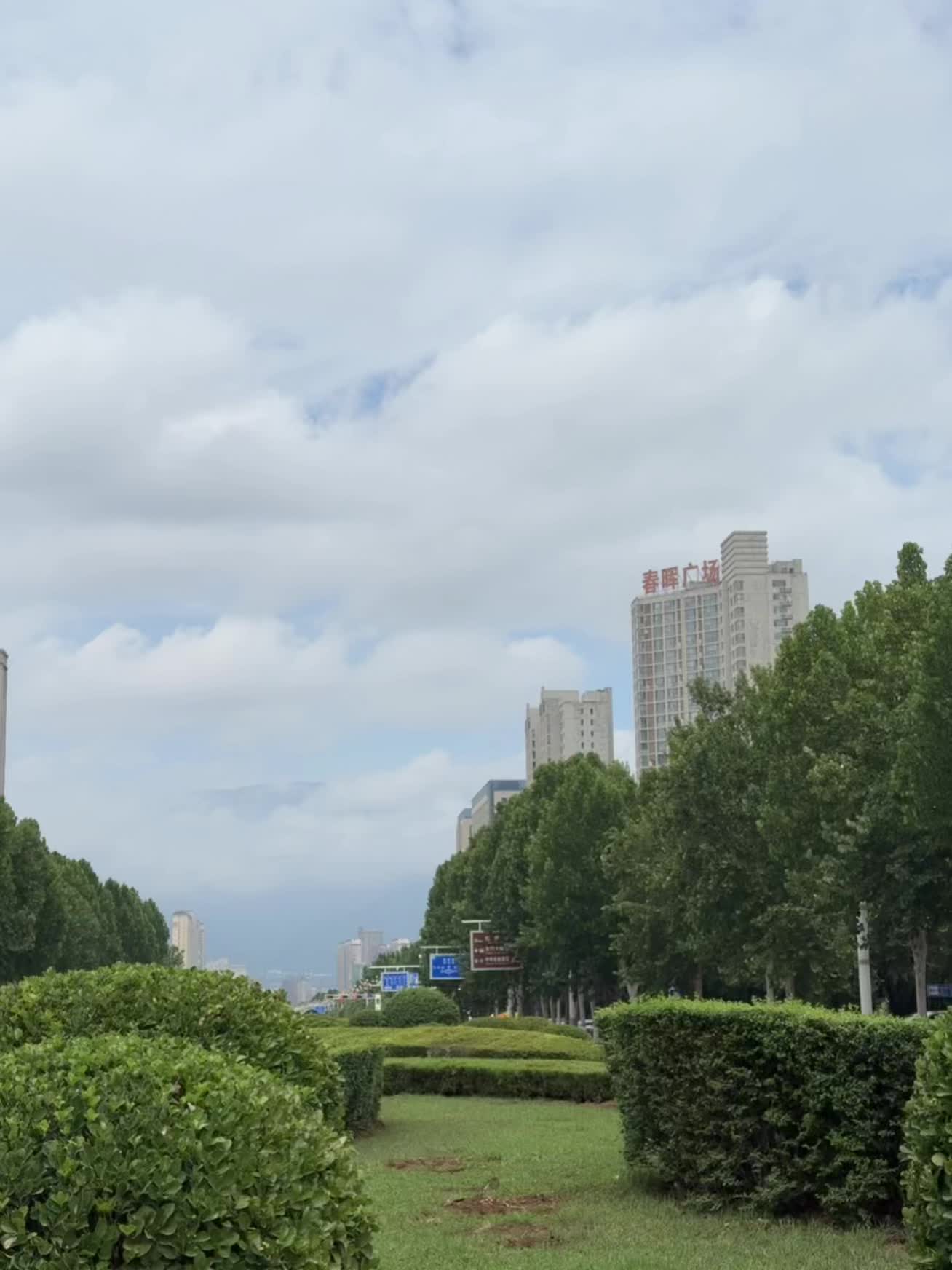 今天的林州 好美🥳