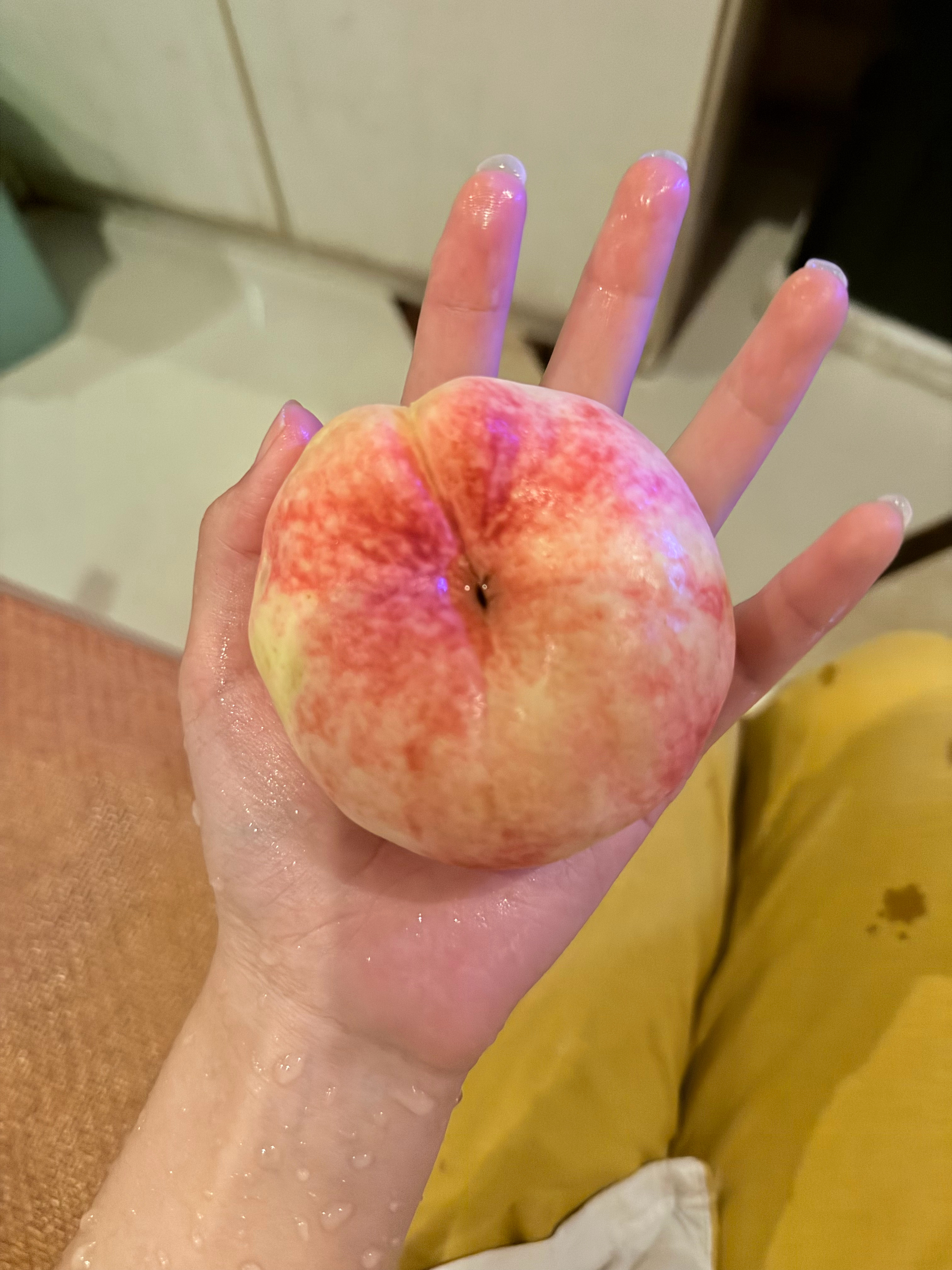 没见过扁桃子 