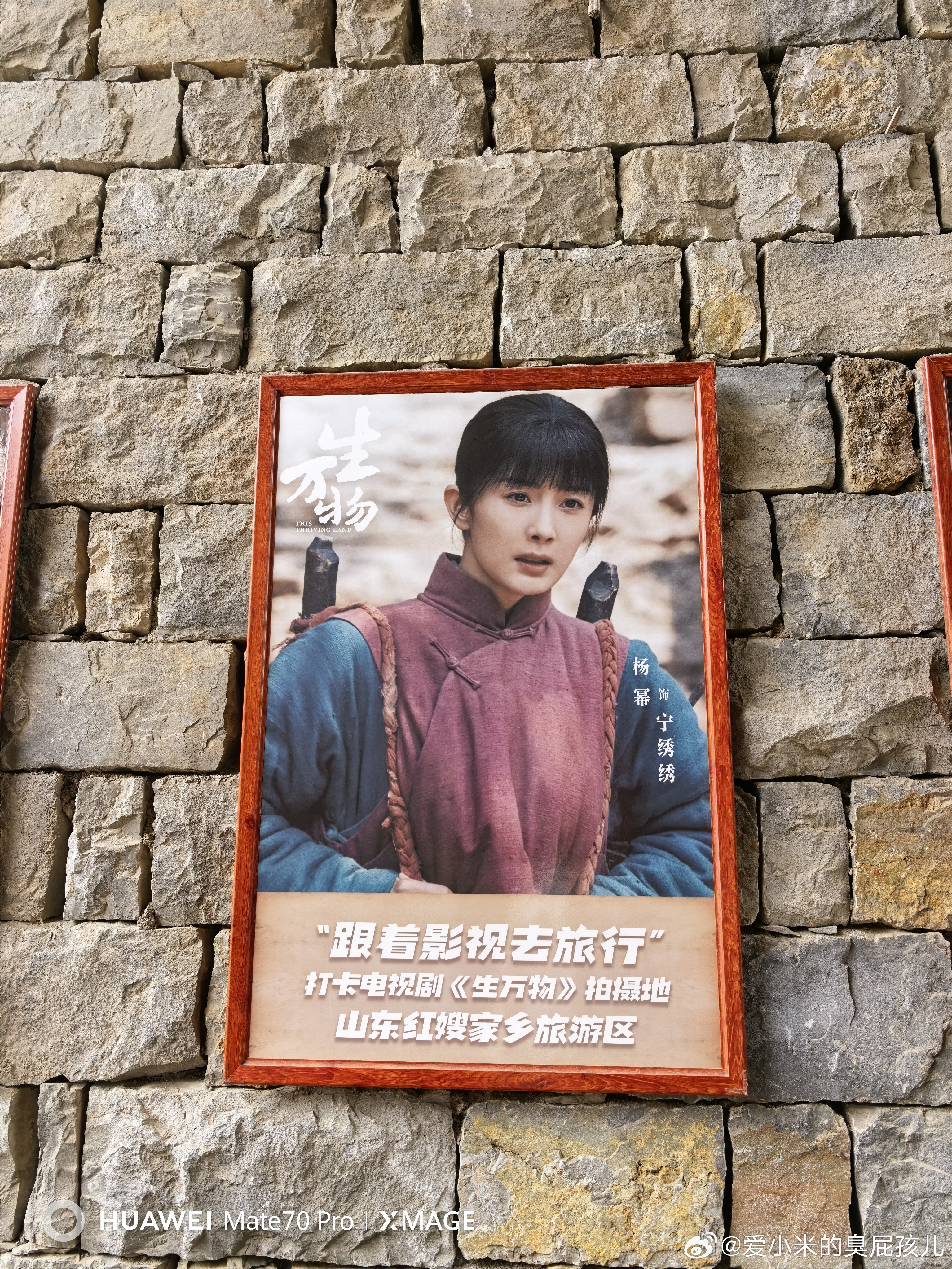 在影视基地里面走一圈 你会随处听到生万物 杨幂这几个字眼无论是景区里的讲解员提到