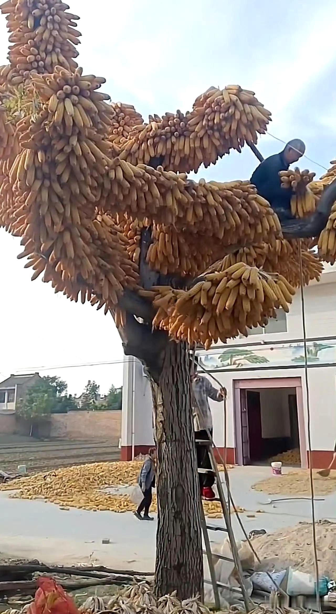 猜猜这是哪里的存储方式？ ​​​