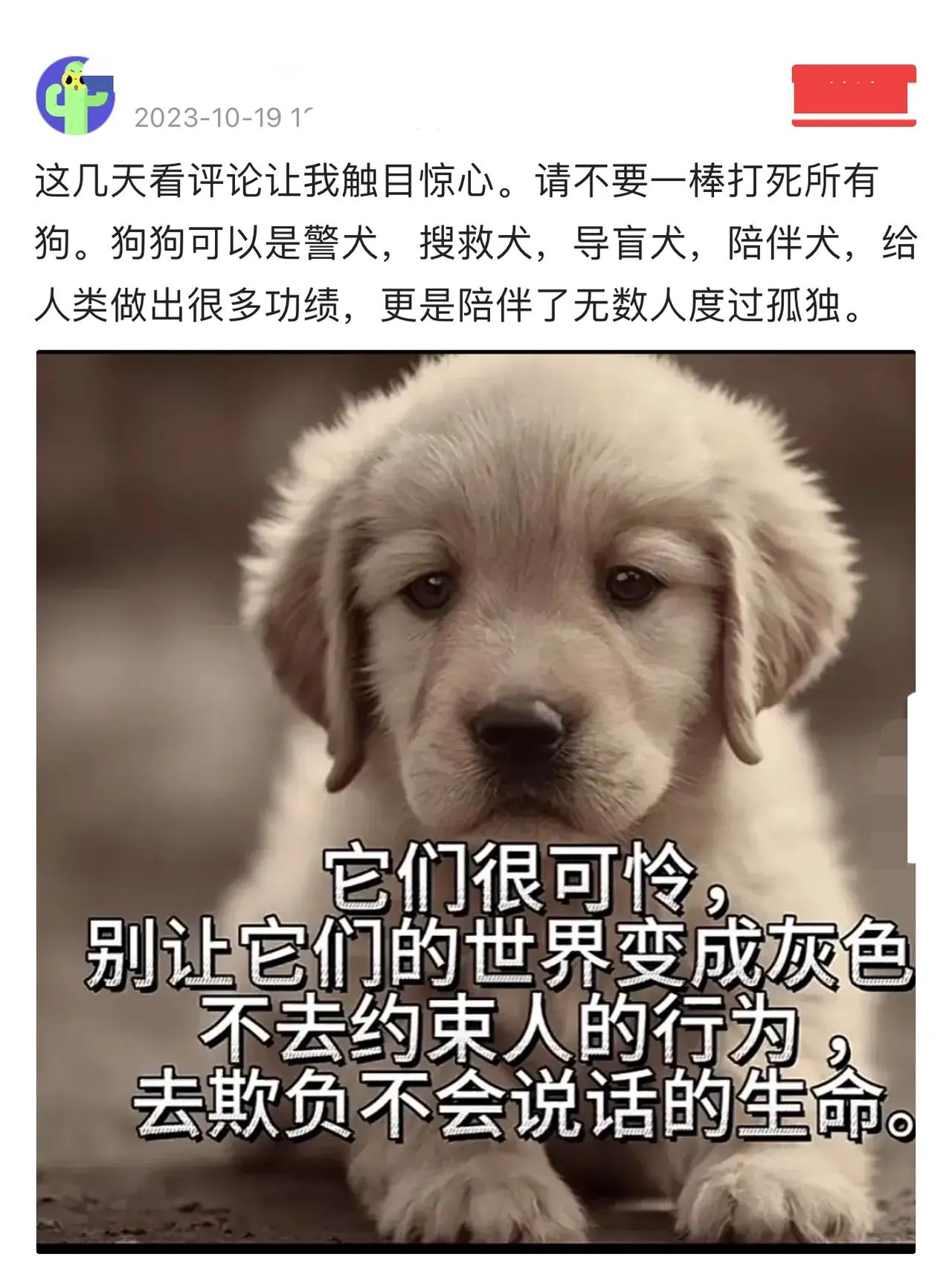 狗本身没有错，错的是养狗的人。
养狗本身不是问题，问题是如何养狗？
狗咬人不是新