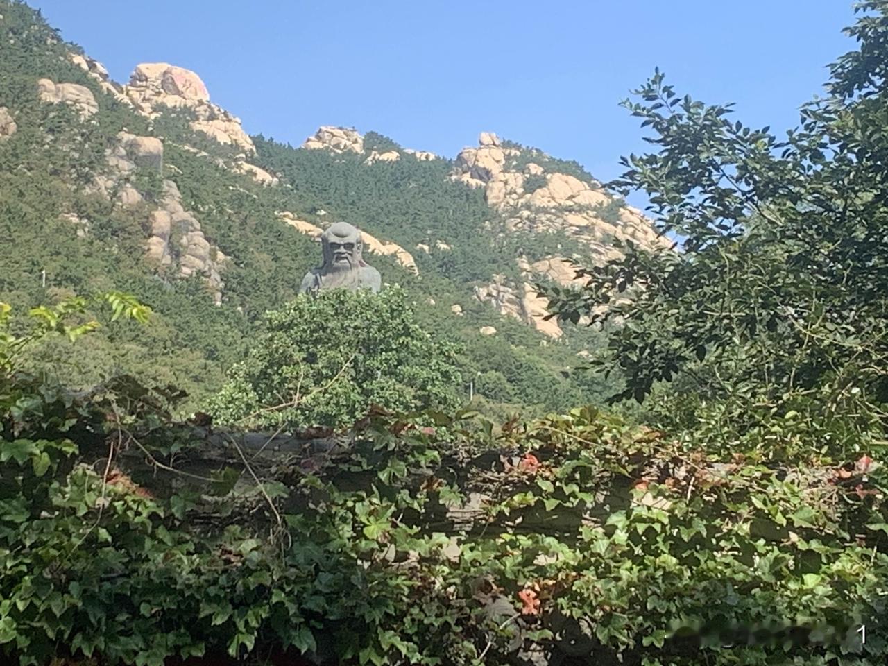 这些年啊，最大的变化就是心态松下来了。

从前上班，闹钟一响就绷紧弦，满脑子都是