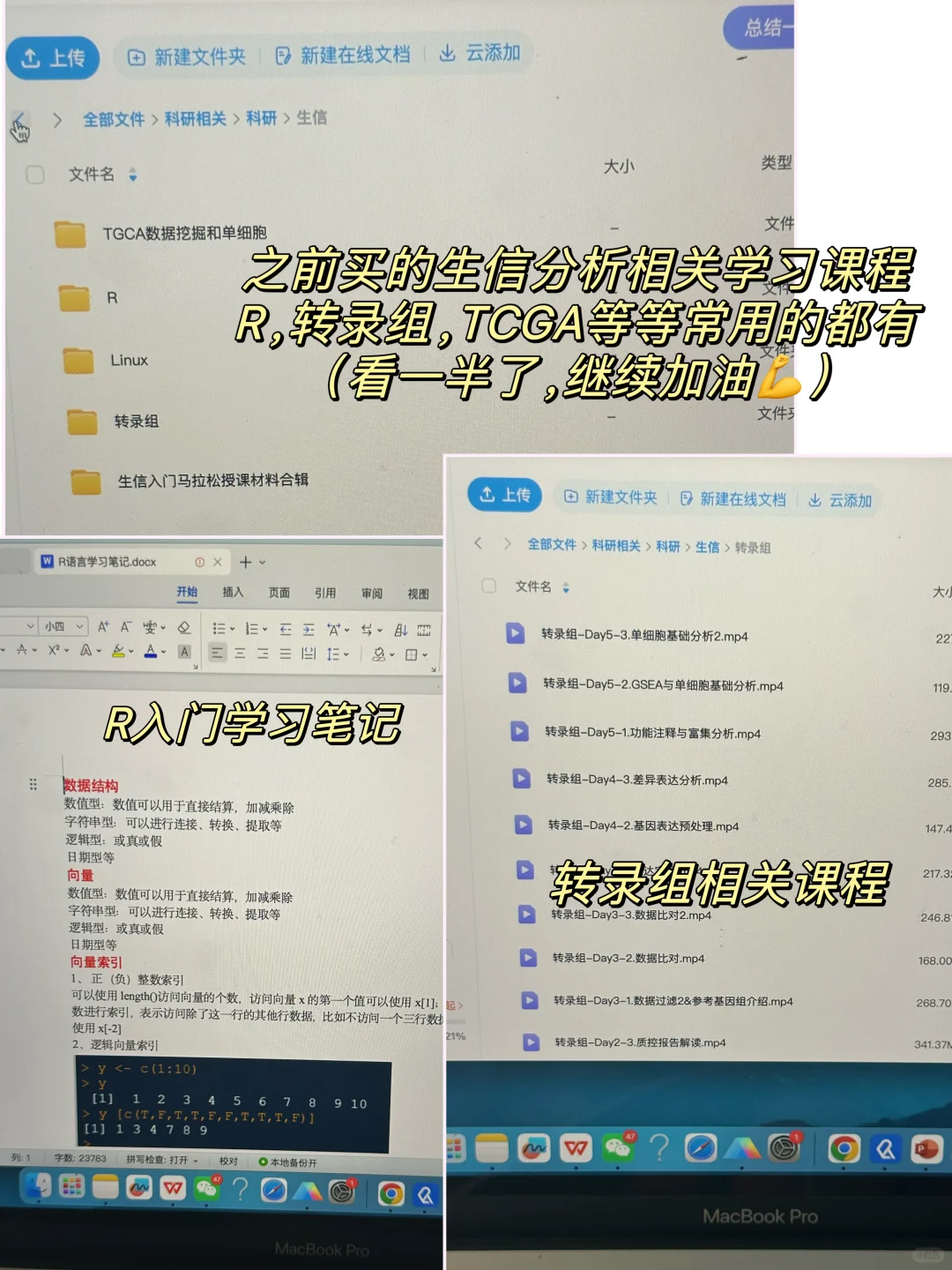 读博实验日常｜盘点最近干了点啥❓