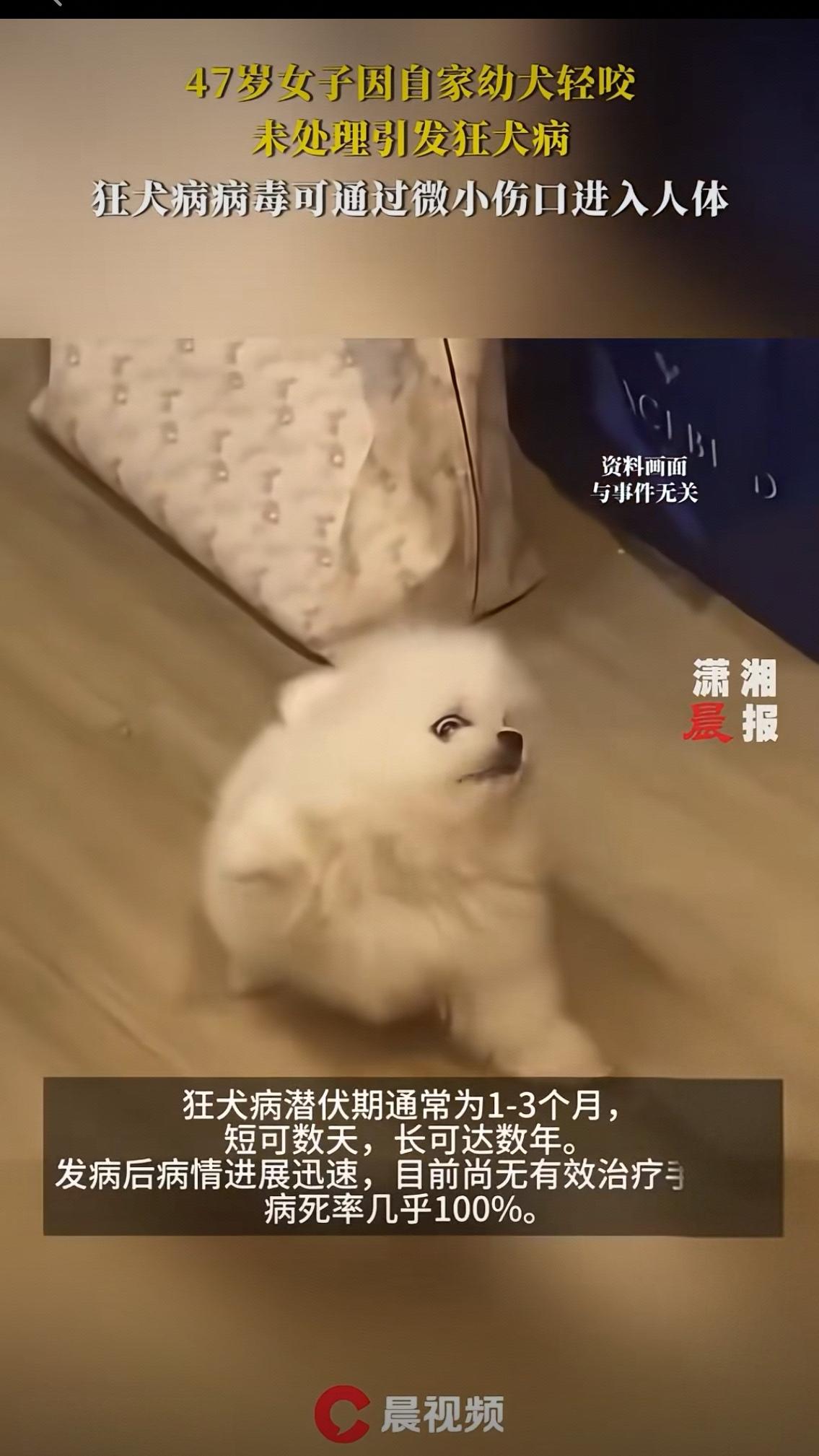 47岁女子因自家幼犬轻咬，未处理引发狂犬病。狂犬病病毒可通过微小伤口进入人体，潜