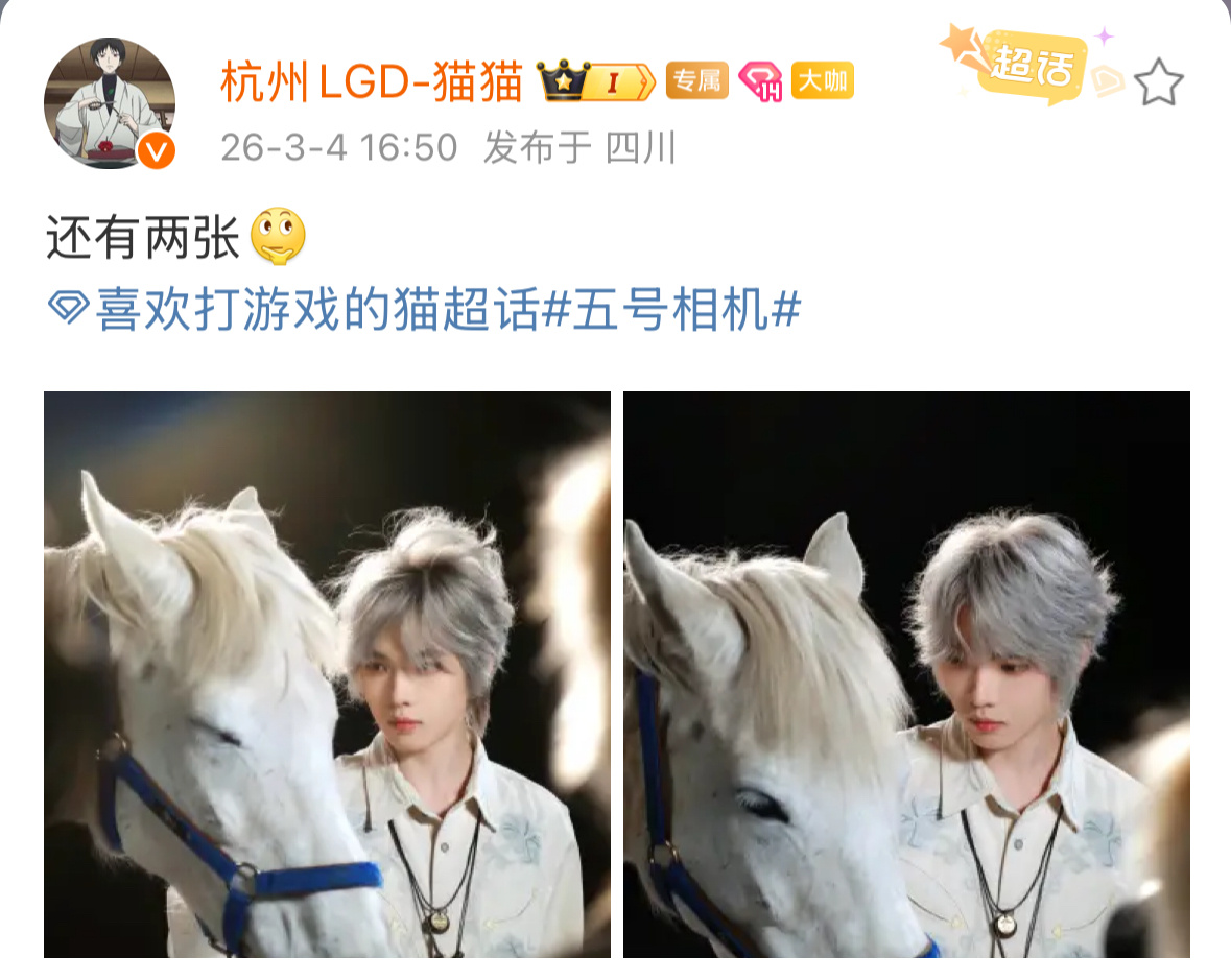 喜欢打游戏的猫  白马王子库存掉落🈶2026pel2026pel春季赛