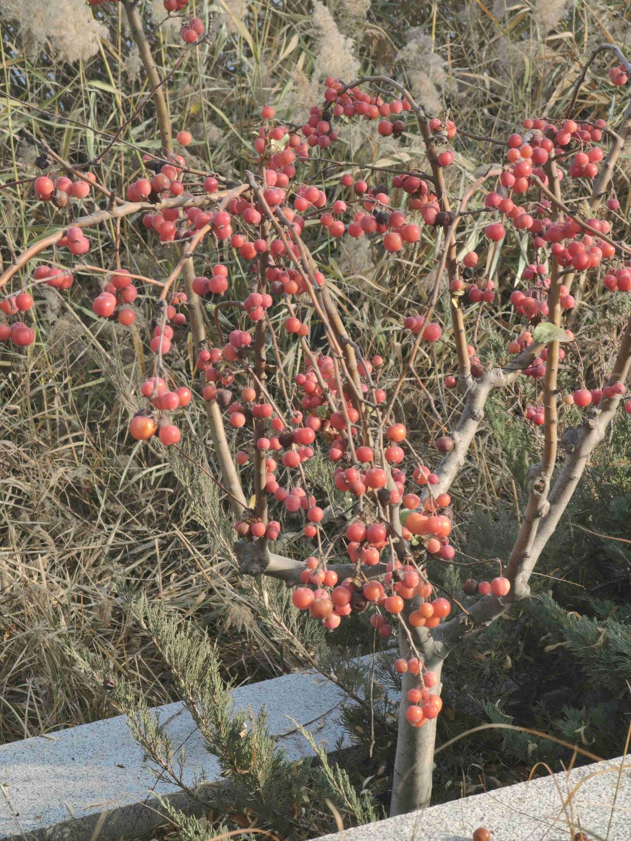 我的今日状态：😁轻松愉快
我这里的天气：☀️晴天
