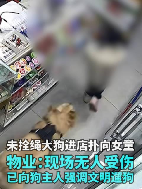 昆明这事儿看得人揪心！一只没拴绳的阿拉斯加突然冲进便利店，把5岁女童扑倒撕咬，店