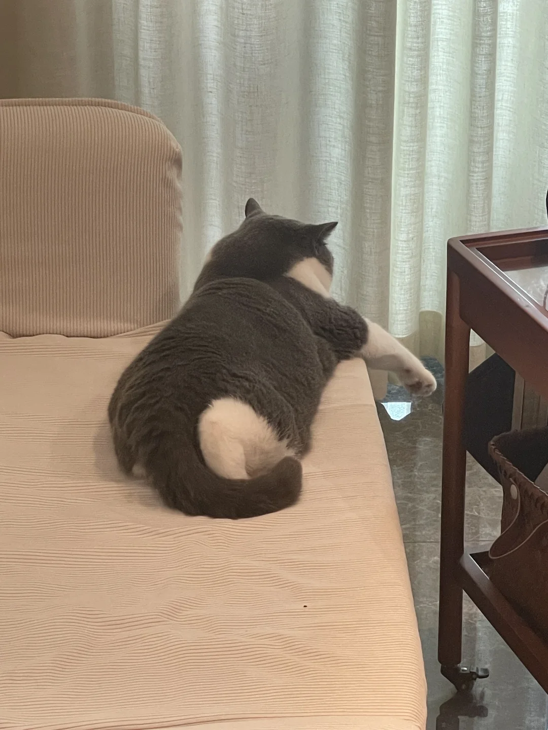 你是总裁吗这么坐