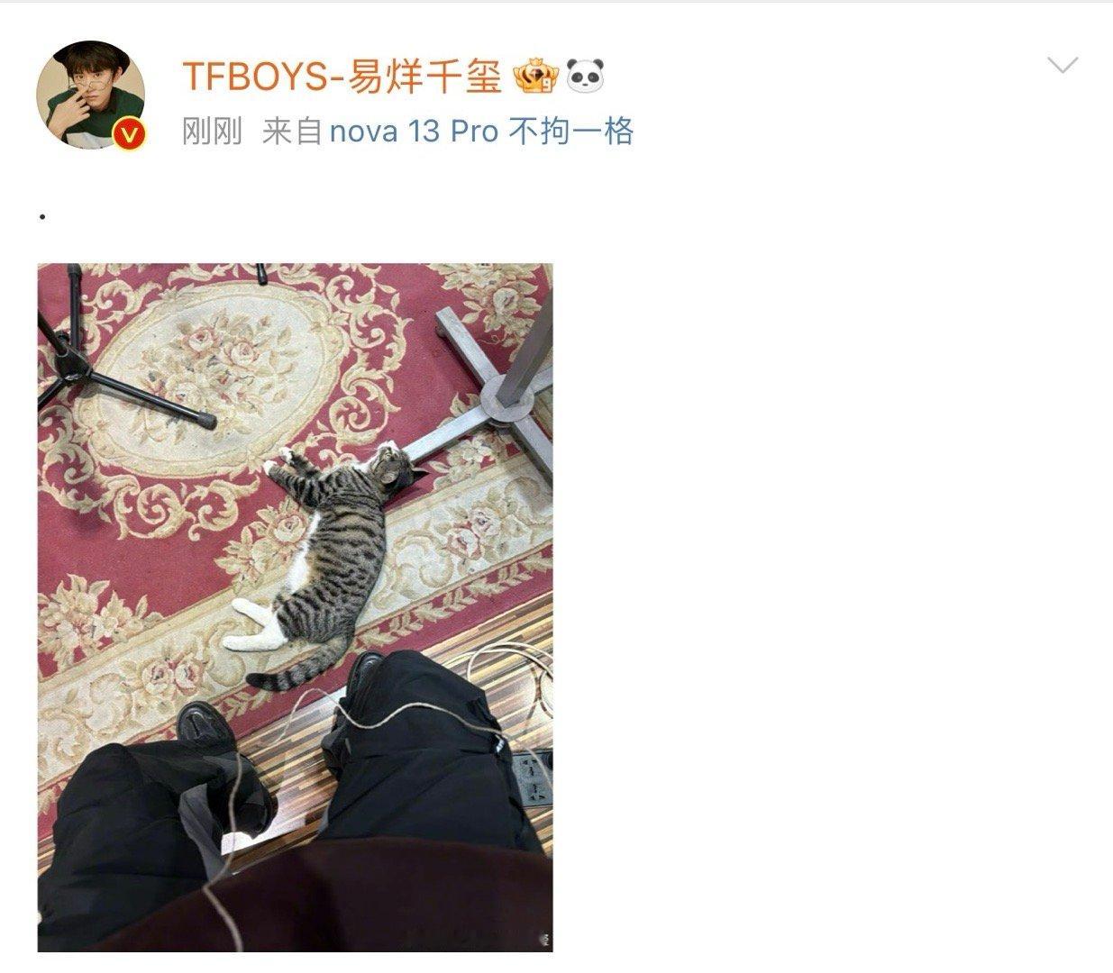易烊千玺喜欢和小猫交朋友  易烊千玺晒了小猫  易烊千玺晒了小猫，真的好治愈啊，