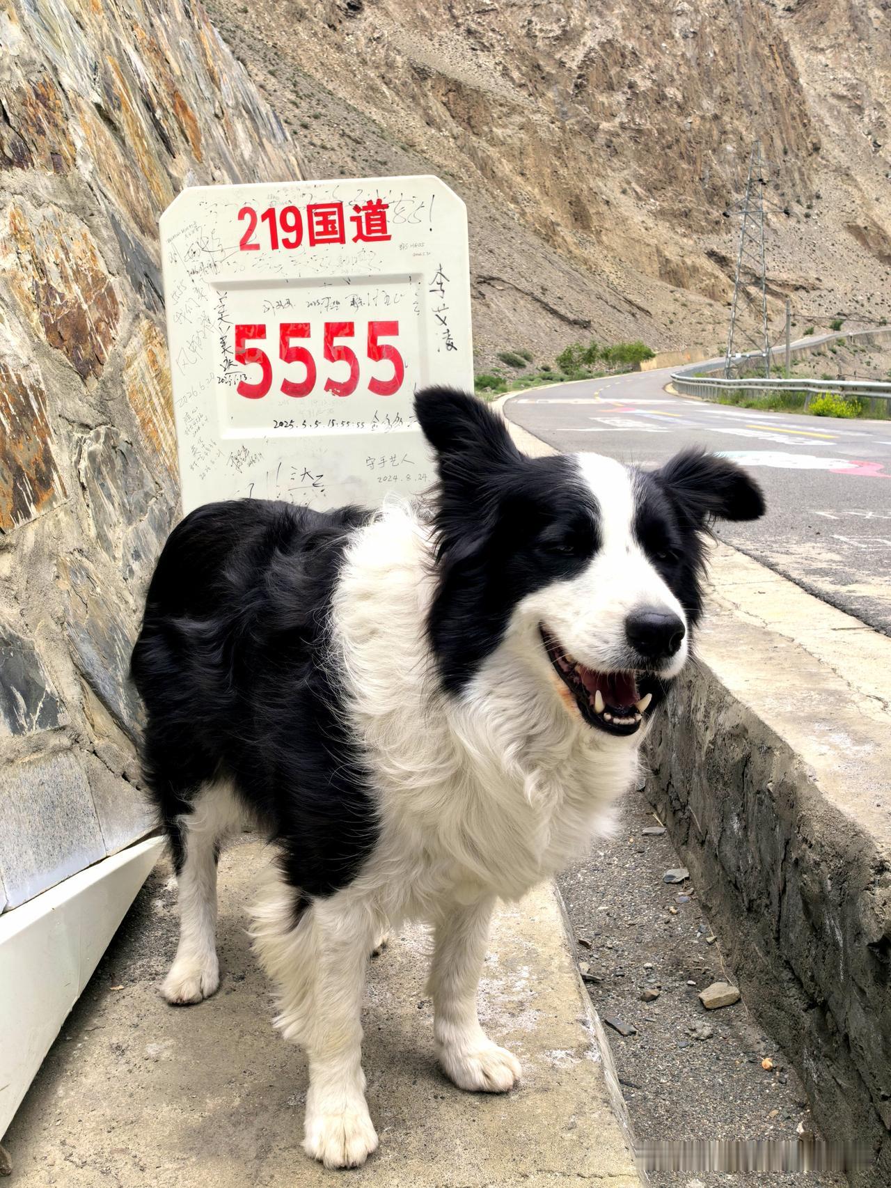 离开错那，经G560国道、S202省道，在与隆子雄曲交汇处并入G219国道，向东