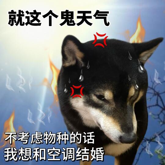 表情包|求夏天不热教程🥲