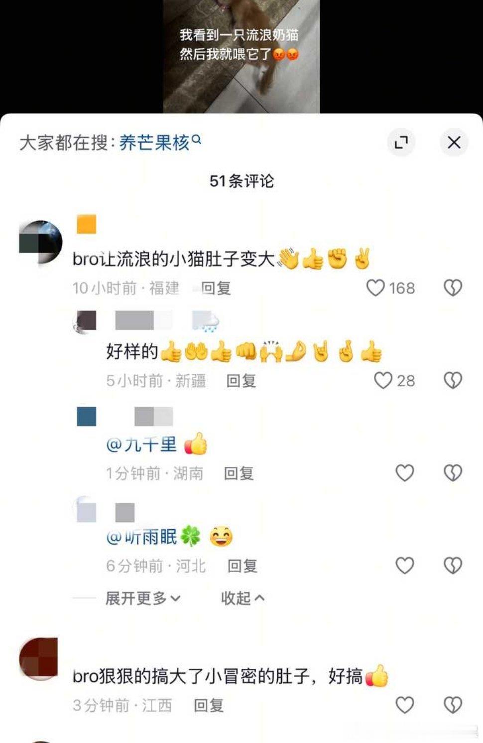 喂了流浪猫这个夸也好好夸别擦边球可以吗 ​​​