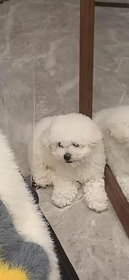 到底是哪里出了问题 ​​​