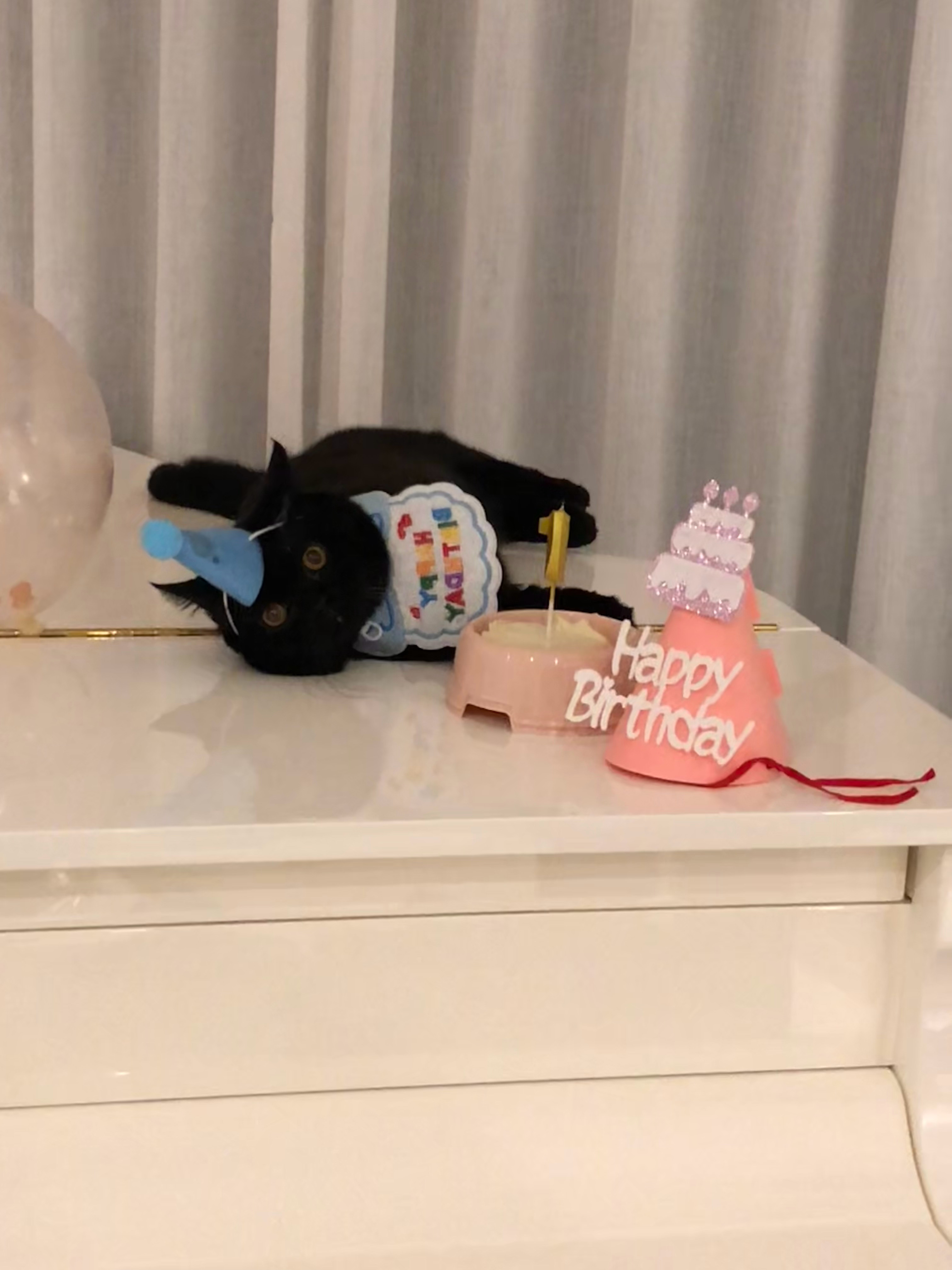˗ˋˏ🎂ྀི ˎˊ˗ Naonao 🐈‍⬛🐾 ​​​