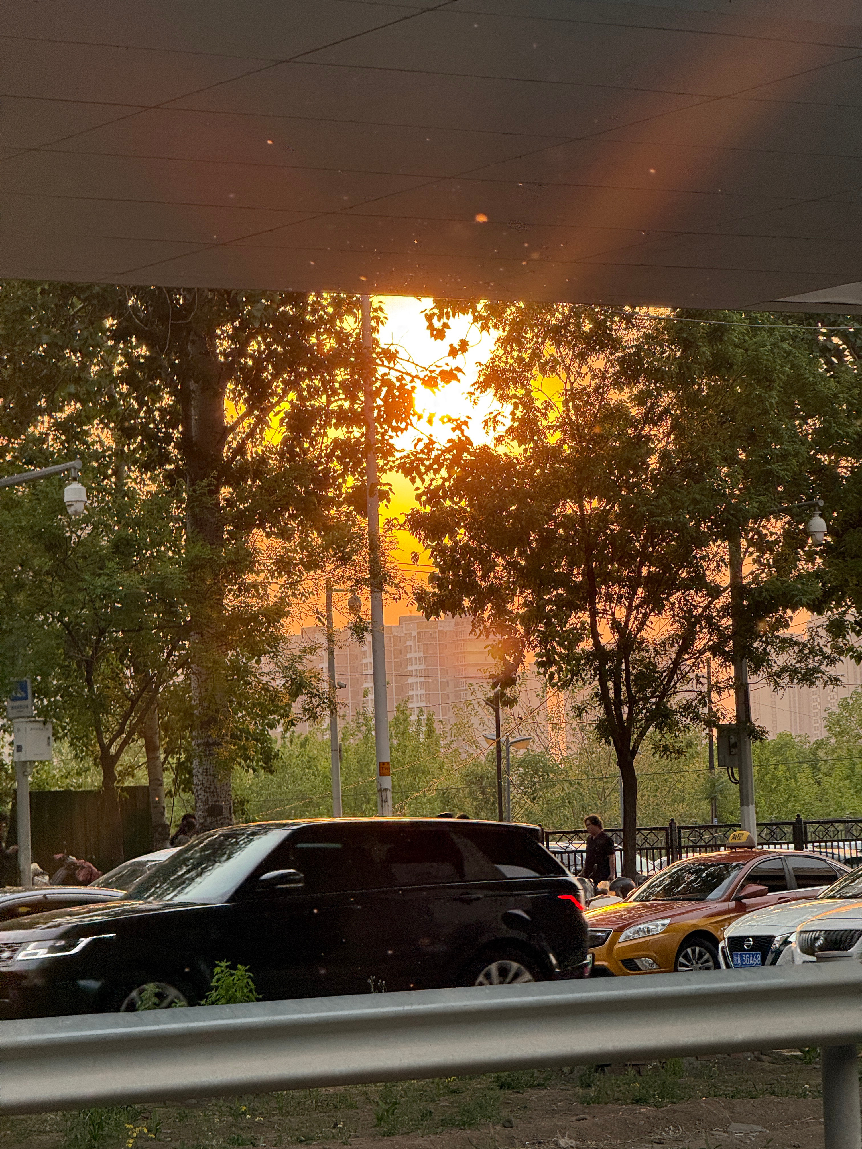 早上好铁粉们 