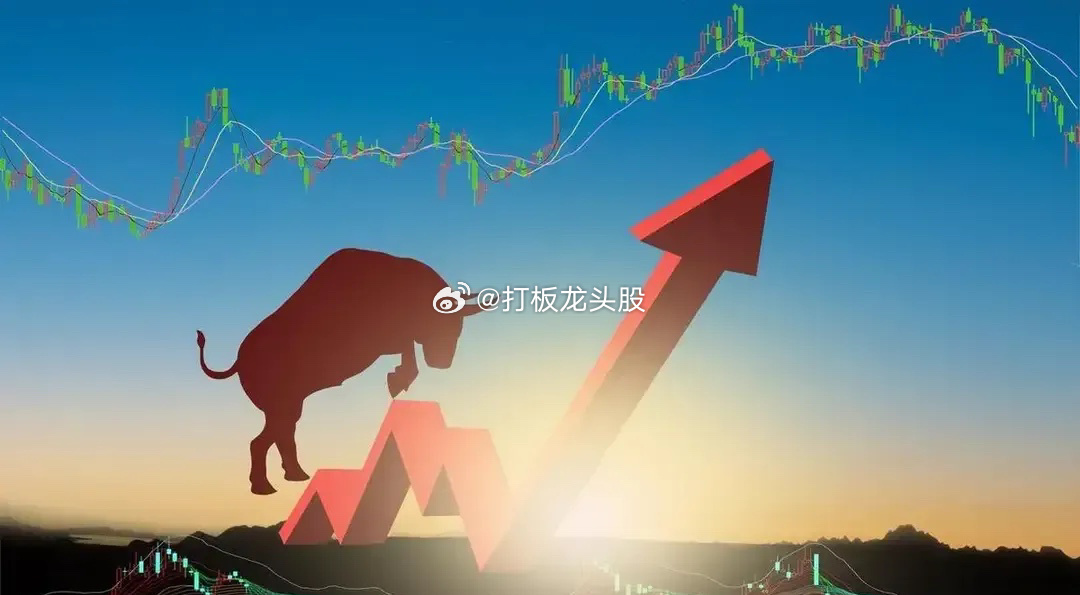 吴晓求教授说，中国股市长期存在大量排队上IPO现象在世界上绝无仅有，说明我们的上