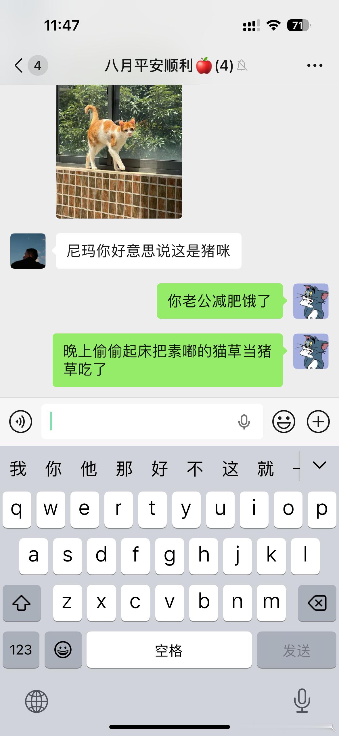 当闺蜜喜猪： 