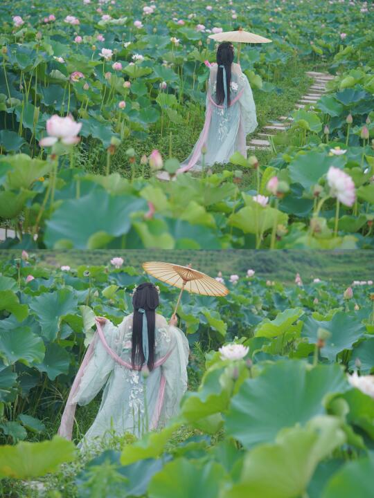 误入藕花深处。重庆汉服约拍
