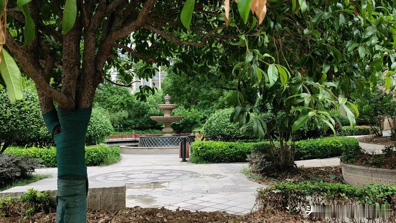 《沁园春·春》
春到人间，绿绘千山，燕舞碧天。
瞧桃花灼灼，李花绚烂；垂杨袅袅，
