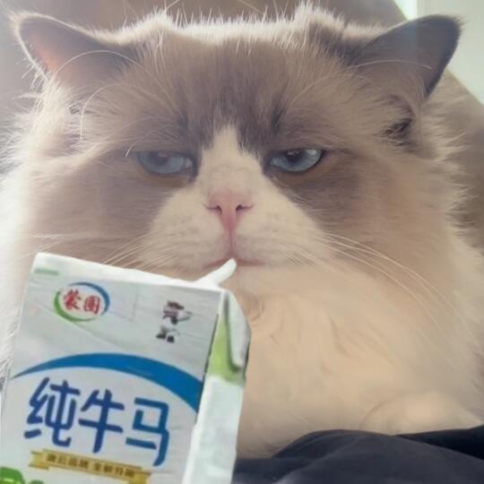欢迎登上牛马号列车