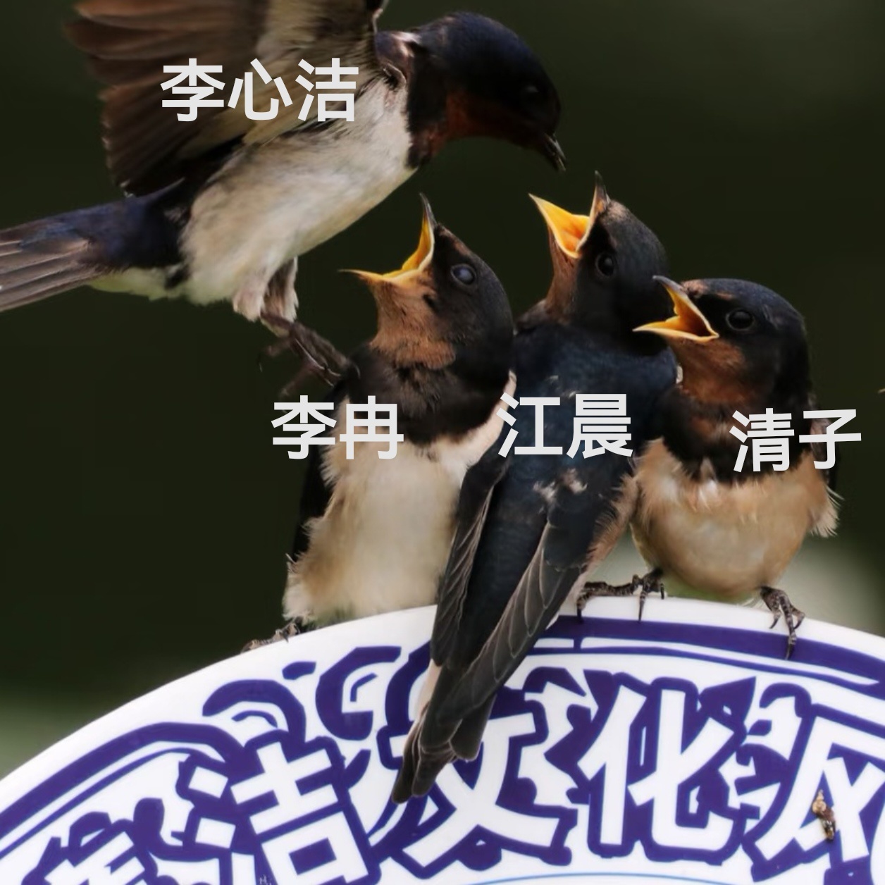 未来两周的大马妈咪李心洁的生活模式大概belike： 