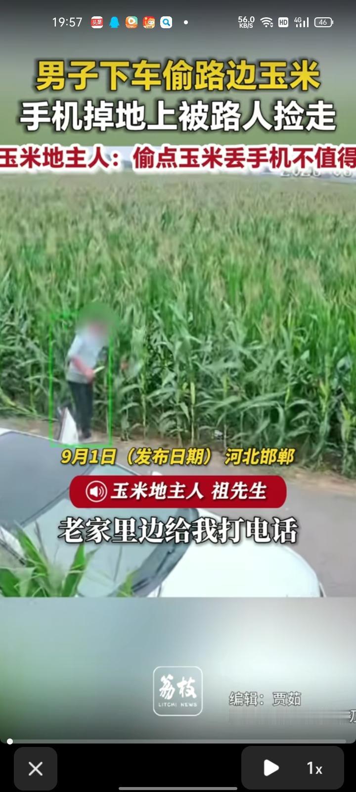 8月27日，邯郸市大名县。网友发视频称，老家那边来电话说少了一些玉米，道路两边都