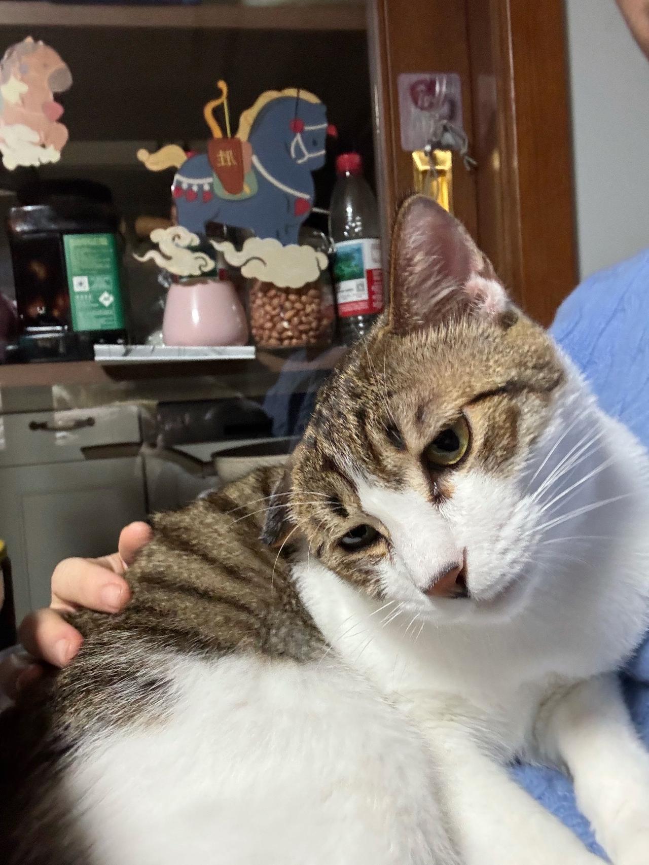 老师今天辛苦啦，宝宝来治愈你！