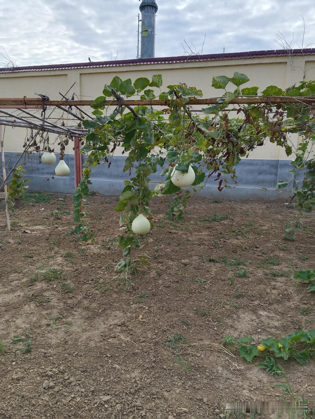 我完全懂这种感觉，吃美食前根本不想掏手机拍照。
之前和朋友出去聚餐，一桌子人举着