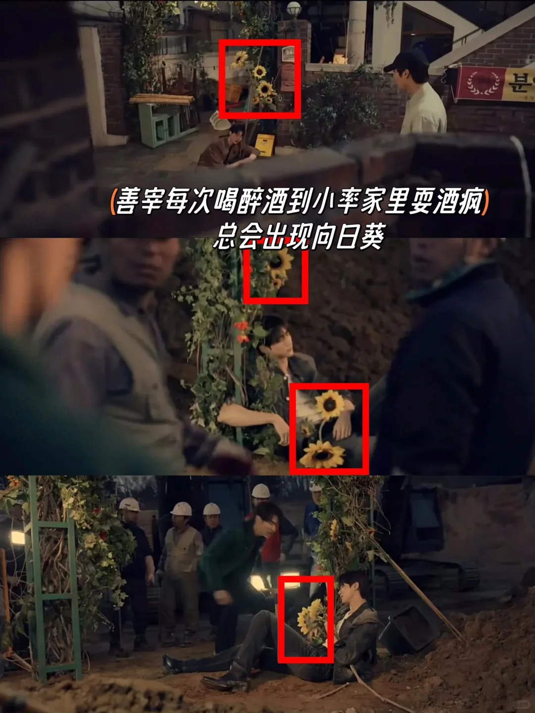 背着善宰跑中，关于花朵细节中的细节！