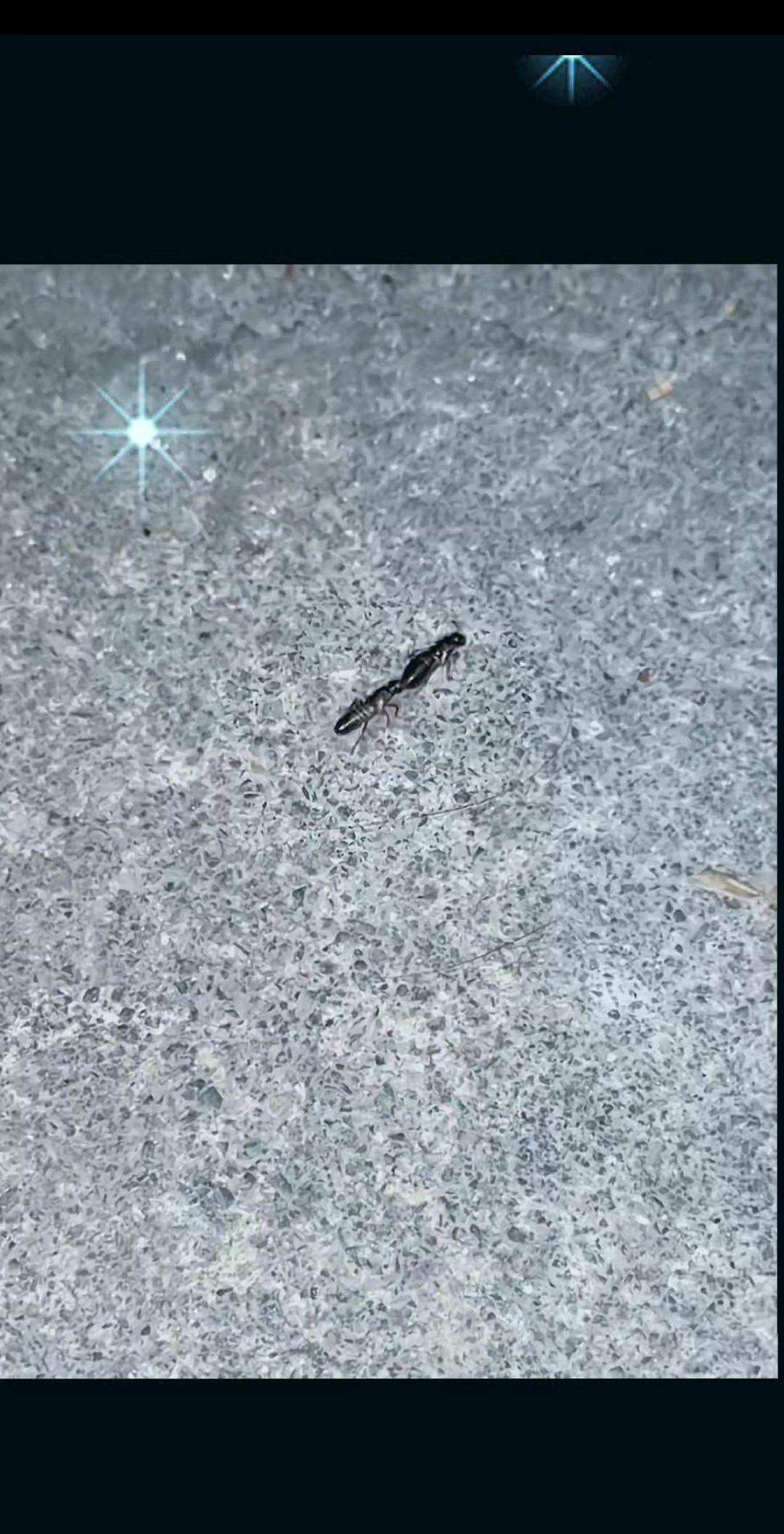 像极了我小时候，就像跟屁虫，总是跟在我哥屁股后面，甩都甩不掉…